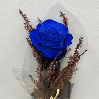 016-SEGURO QUE TE GUSTA!!