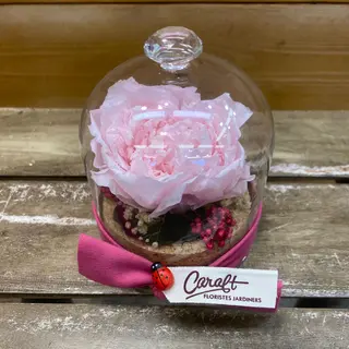 ETERN SWEET PEONIE