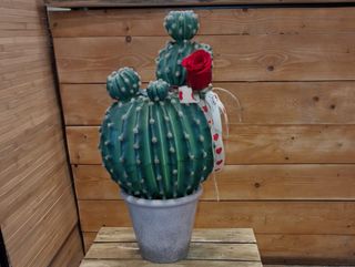 ESPINAS EN MI CORAZON