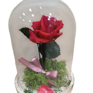 CUPULA DE CRISTAL CON ROSA PRESERVADA