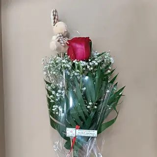 ROSA + PIN