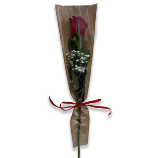 ROSA REGALO