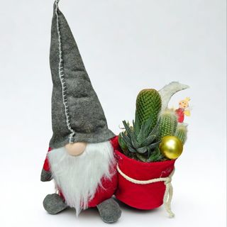 Gnomo + composicion cactus