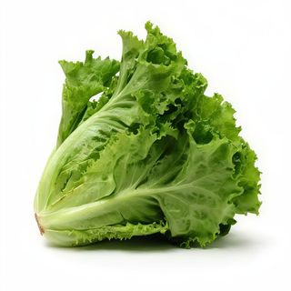 Lechuga