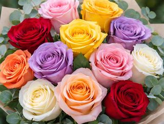 Ramo de 12 rosas variadas de color
