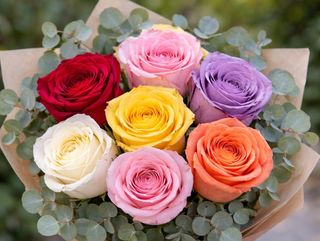 Ramo de  6 rosas variadas de color