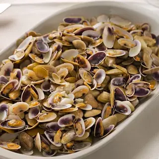 Coquinas