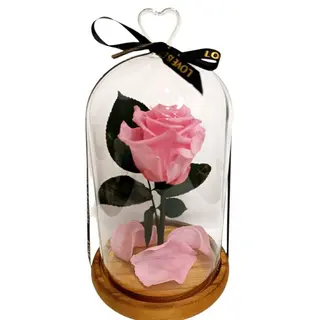 Cúpula de cristal con Rosa Eterna Rosada