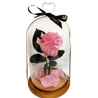 Cúpula de cristal con Rosa Eterna Rosada