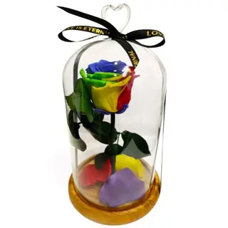 Cúpula de cristal con Rosa Eterna Multicolor