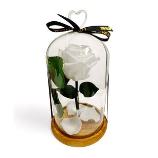 Cúpula de cristal con Rosa Eterna Blanca