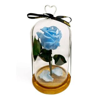 Cúpula de cristal con Rosa Eterna Azul Claro.