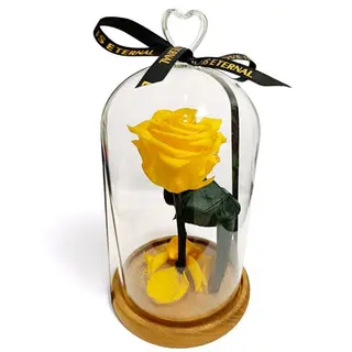 Cúpula de cristal con Rosa Eterna Amarilla