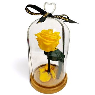Cúpula de cristal con Rosa Eterna Amarilla