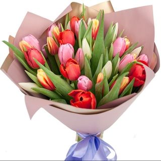 Ramo 25 Tulipanes colores Variados.