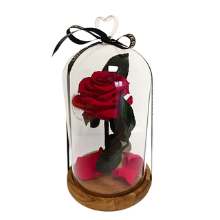 Cùpula de cristal grande con pomo corazón, Rosa ROJA eterna natural preservada, cinta "Love is Eternal" y tres petalos en el pie.