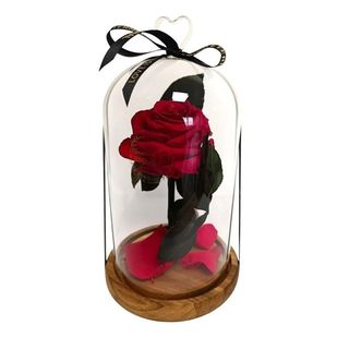 Cúpula de cristal con Rosa Eterna Roja