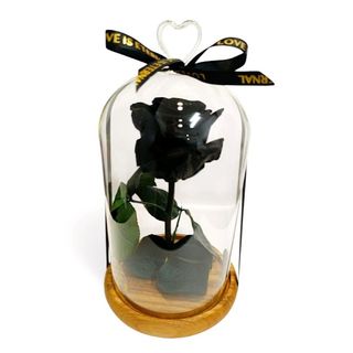 Cúpula de cristal con Rosa Eterna Negra