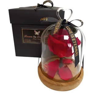 Cùpula de cristal con pomo corazón, Rosa ROJA eterna natural preservada, en su Caja Negra personalizada, cinta "Love is Eternal".