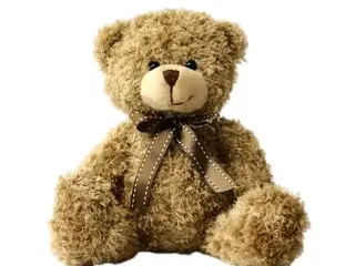 Peluche Oso 22cm