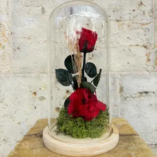 Cúpula con Rosa Roja