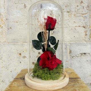 Cúpula con Rosa Roja