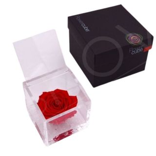 Rosa preservada Flowercube 8x8 Color Rojo