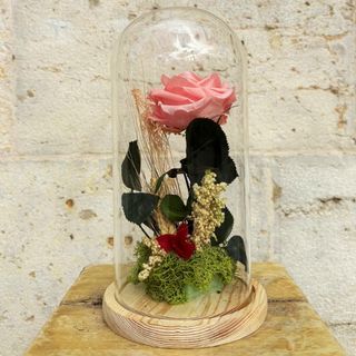 Cùpula con Rosa Rosa