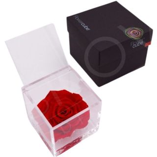 Rosa preservada Flowercube 10x10 Color Rojo