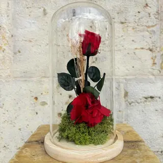 Cúpula Rosa Roja