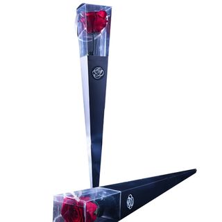 Rosa Preservada 50cm Color Rojo