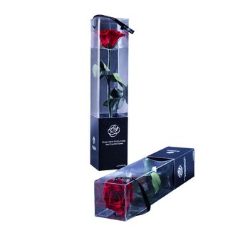 Rosa Preservada 30cm color Rojo