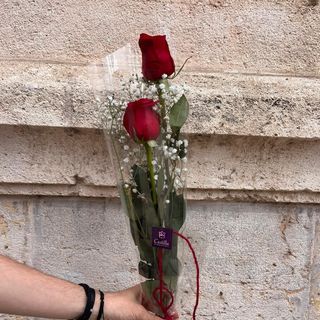 2 Rosas Rojas