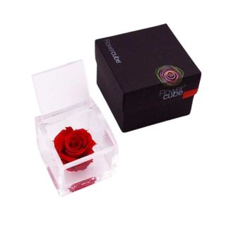 Rosa preservada Flowercube 6x6 Color Rojo