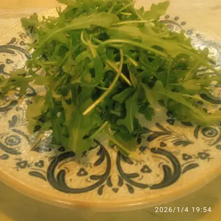 Rucola