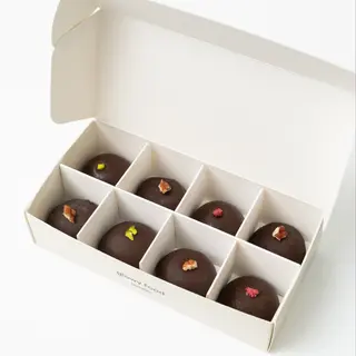 Bites Box: 8 Tortuguitas