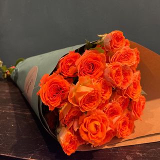 10 Rosas de Temporada