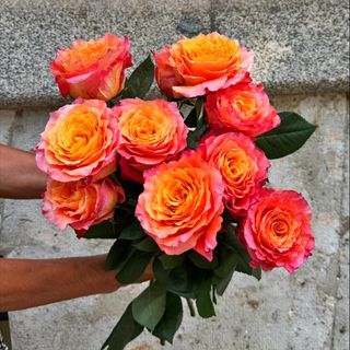10 Rosas de Temporada