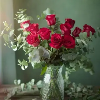 10 Rosas Rojas