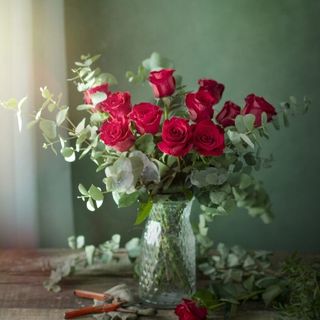 10 Rosas Rojas