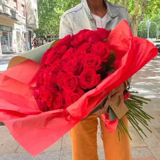 50 Rosas Rojas