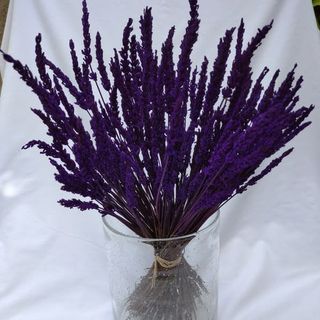 Lavanda preservada