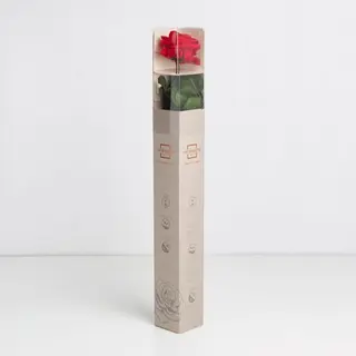 Rosa eterna