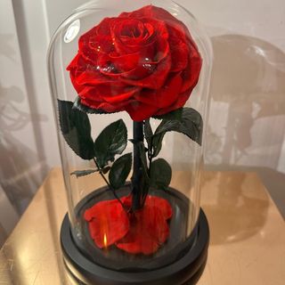 Cúpula con rosa