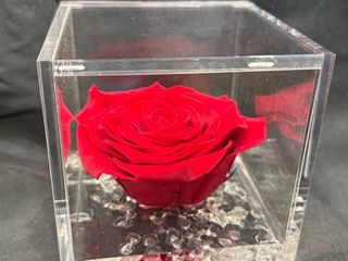 Rosa roja Flower cube pequeña