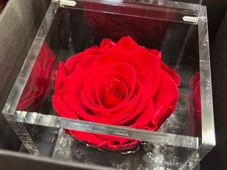 Rosa roja Flower cube grande