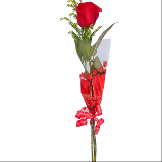 Una rosa roja Bassic