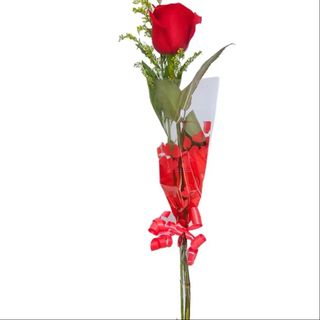 Una rosa roja
