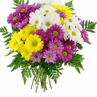 Bouquet de 3 margaritas