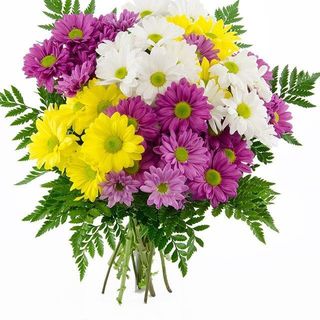 Bouquet de 3 margaritas